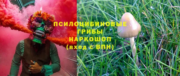 гашик Абинск
