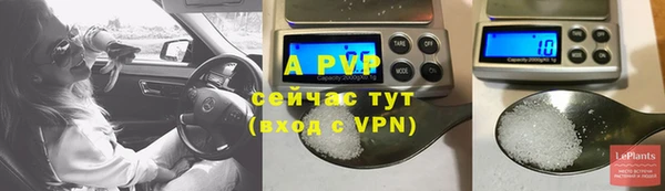 гашик Абинск