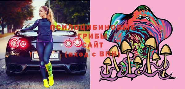 гашик Абинск